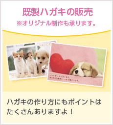 既製ハガキの 販売